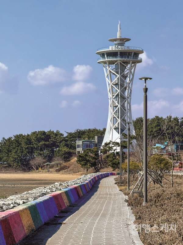새로 생긴 높이 65m의 홍성 스카이타워가 위용을 뽐낸다. 사진 / 민다엽 기자